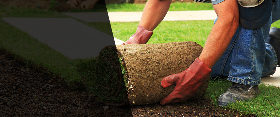 Duson Landscapers